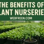 the benefits of plant nurseries webfreen.com