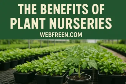 the benefits of plant nurseries webfreen.com